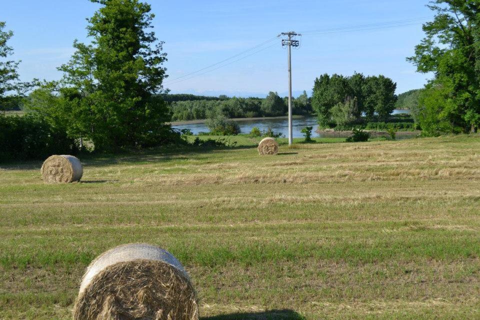 Agriturismo Il Campagnino Cremona Luaran gambar